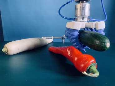 Greifer für die robotergestützte Hochgeschwindigkeitssortierung von Gemüse