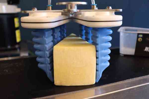 Robotergreifer für Käse